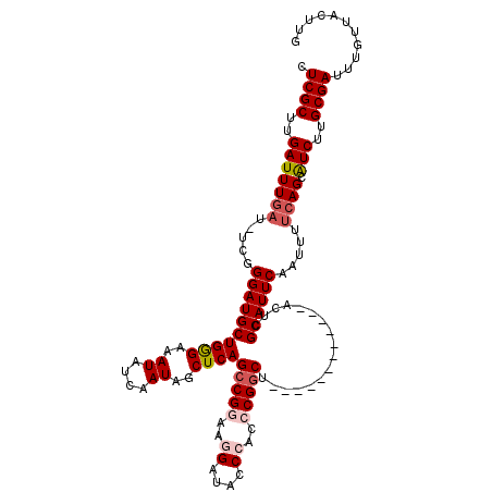 secondary structure