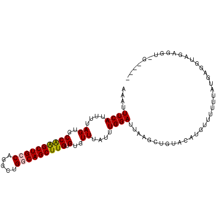 secondary structure