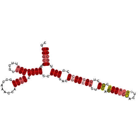 secondary structure