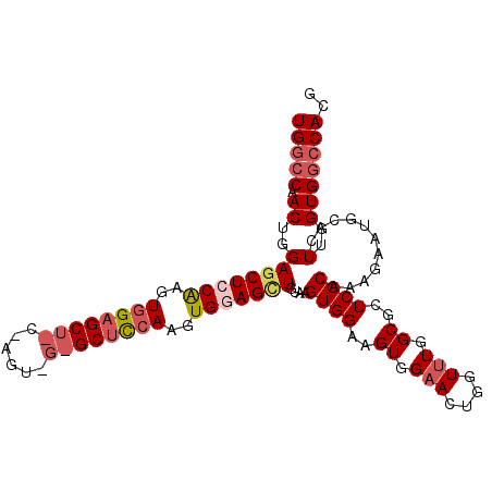 secondary structure