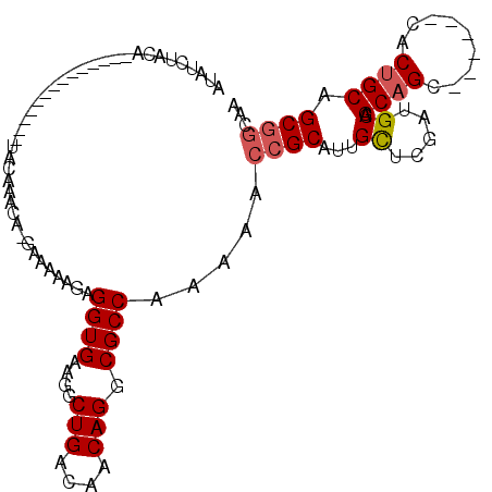 secondary structure