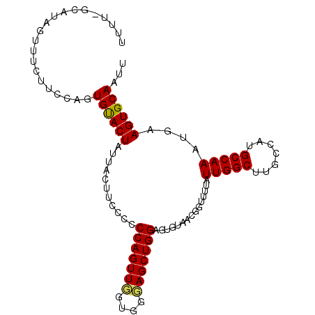 secondary structure