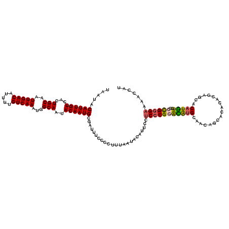 secondary structure