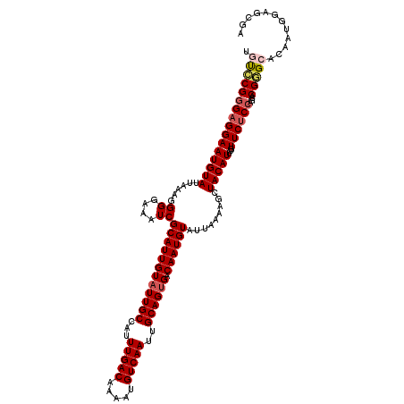 secondary structure