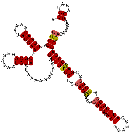 secondary structure
