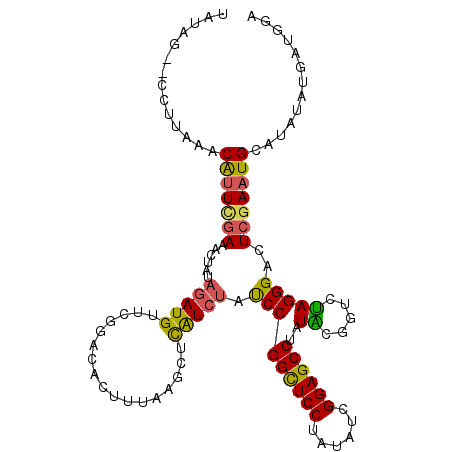 secondary structure