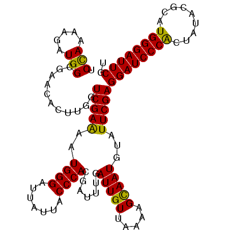 secondary structure