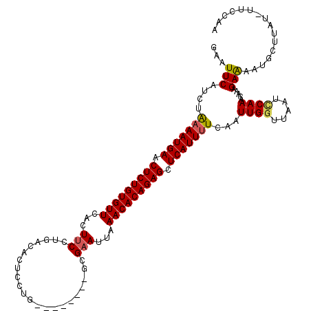 secondary structure