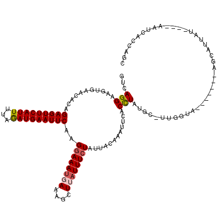 secondary structure