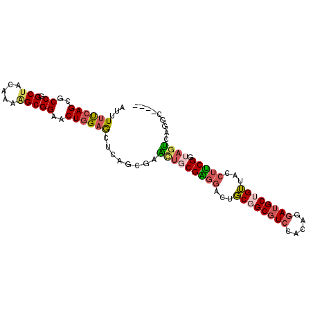 secondary structure