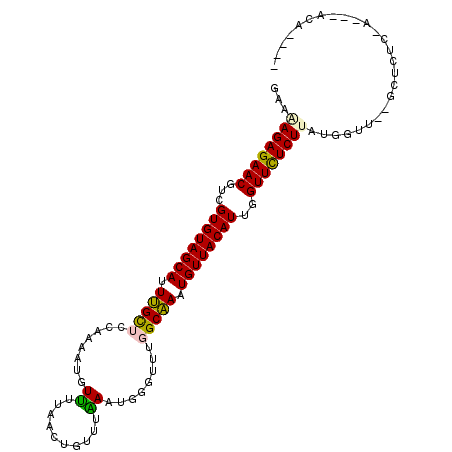 secondary structure