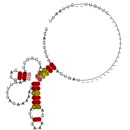 secondary structure