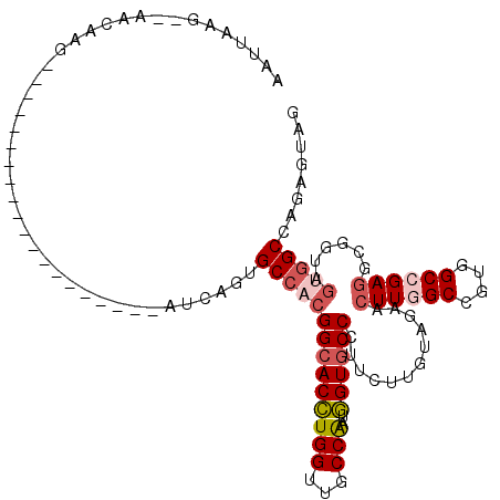 secondary structure