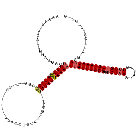 secondary structure