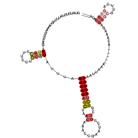 secondary structure