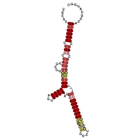 secondary structure