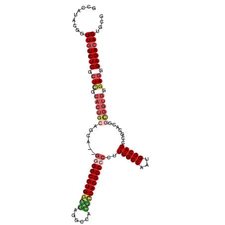 secondary structure