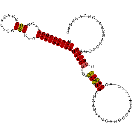 secondary structure