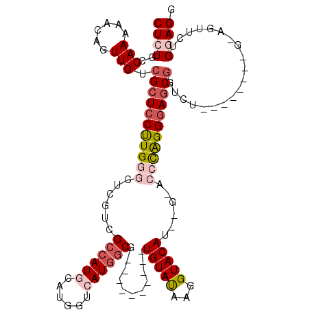 secondary structure