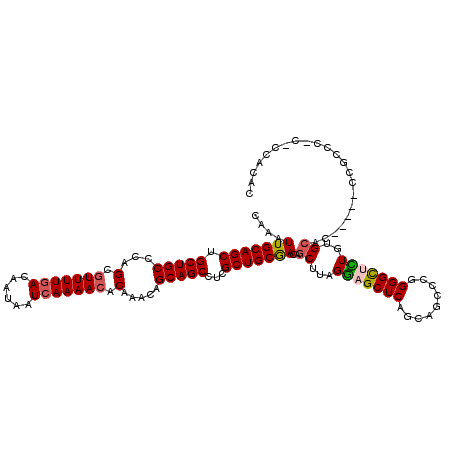 secondary structure
