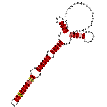 secondary structure