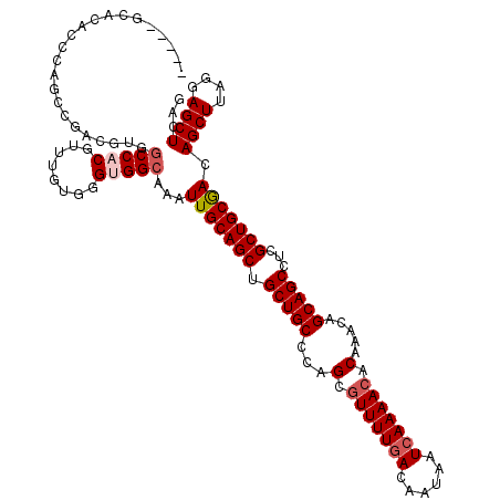 secondary structure