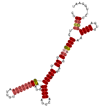secondary structure