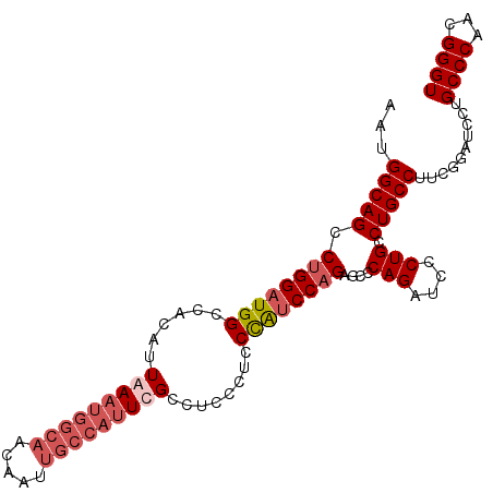 secondary structure