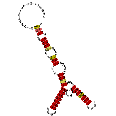 secondary structure