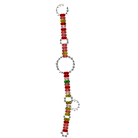 secondary structure