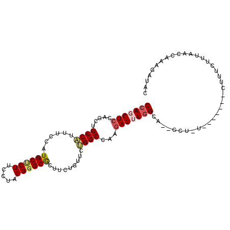 secondary structure