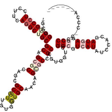 secondary structure
