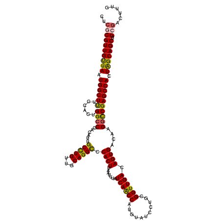 secondary structure