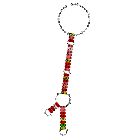 secondary structure