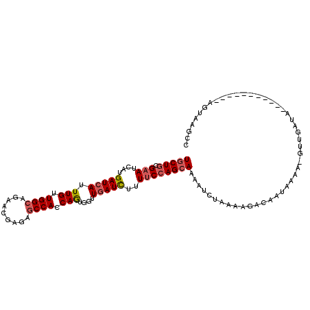 secondary structure
