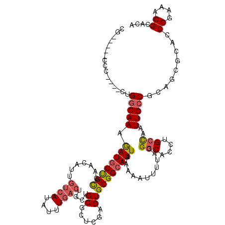 secondary structure