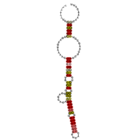 secondary structure
