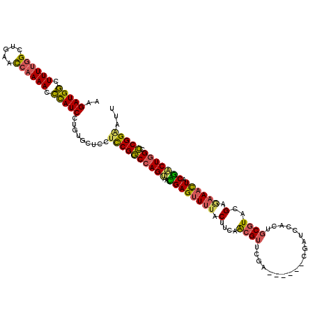 secondary structure