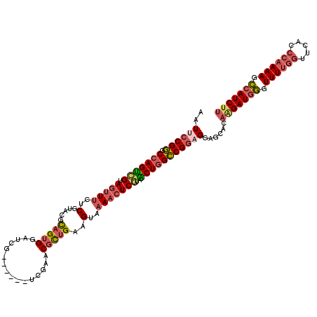 secondary structure
