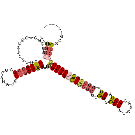 secondary structure