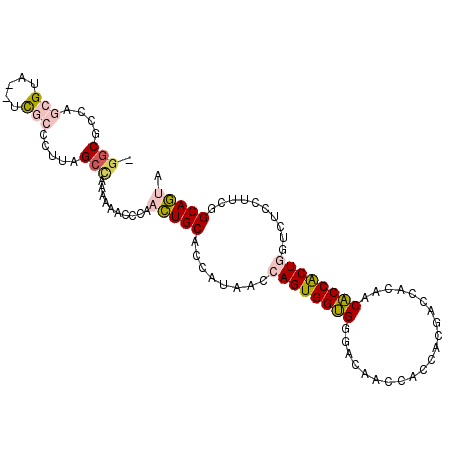 secondary structure