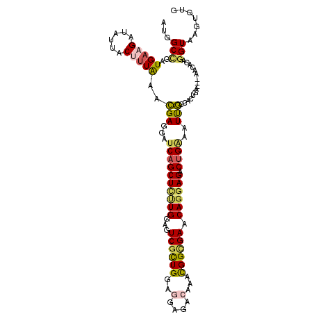 secondary structure