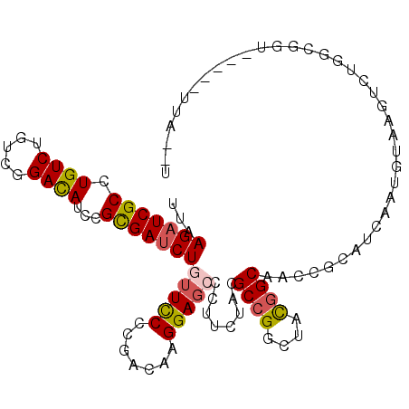 secondary structure