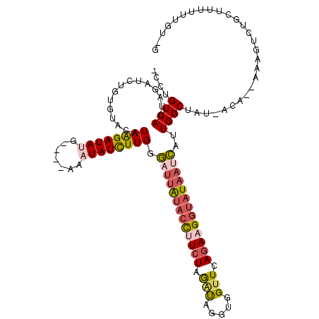 secondary structure