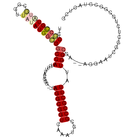 secondary structure