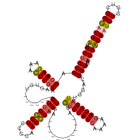 secondary structure