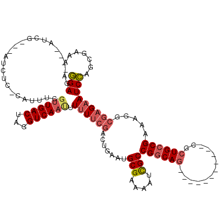 secondary structure