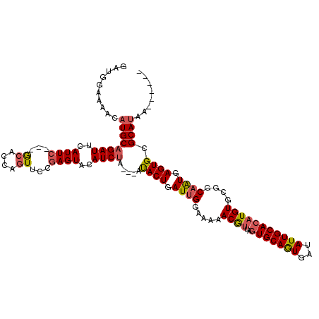 secondary structure