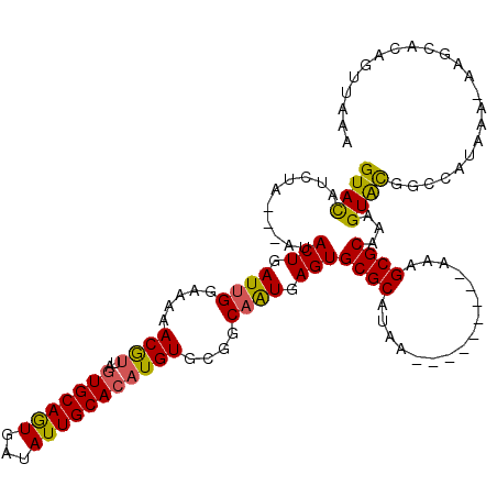 secondary structure