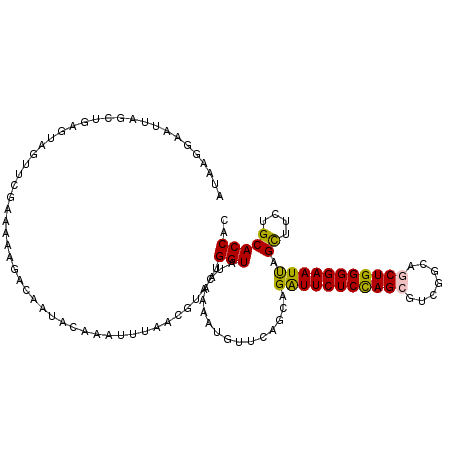 secondary structure
